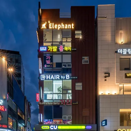 Elephant