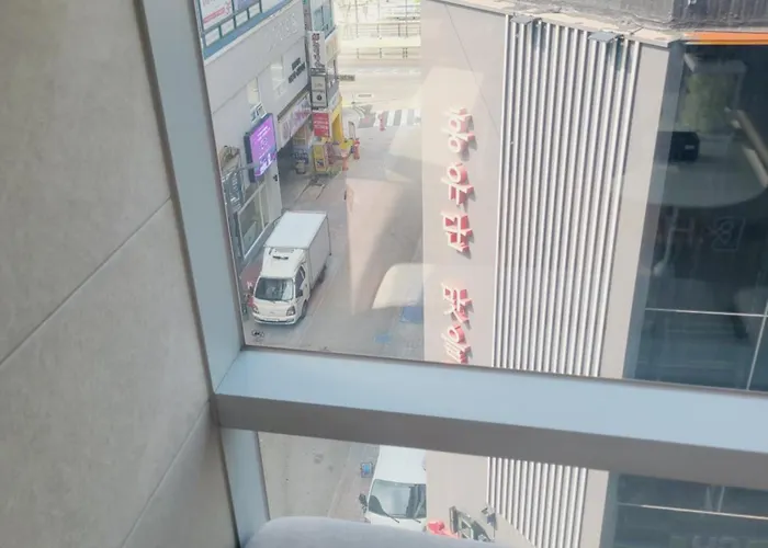 코끼리 * 부산광역시
