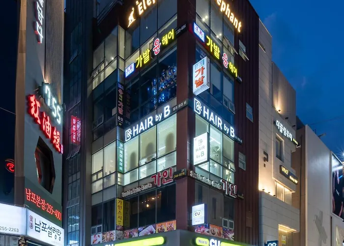 코끼리 부산광역시