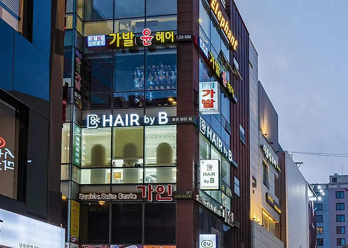 코끼리 *